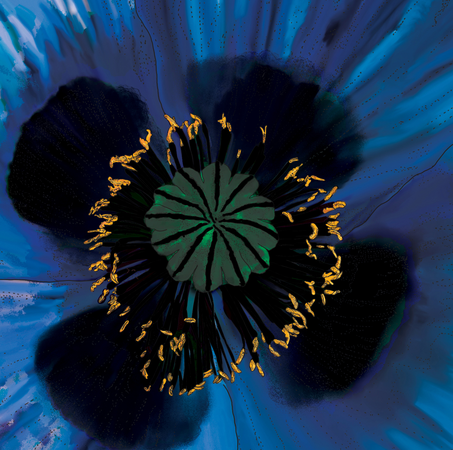 Poppy Moonlit Blue - Framed & Mounted Giclée Print