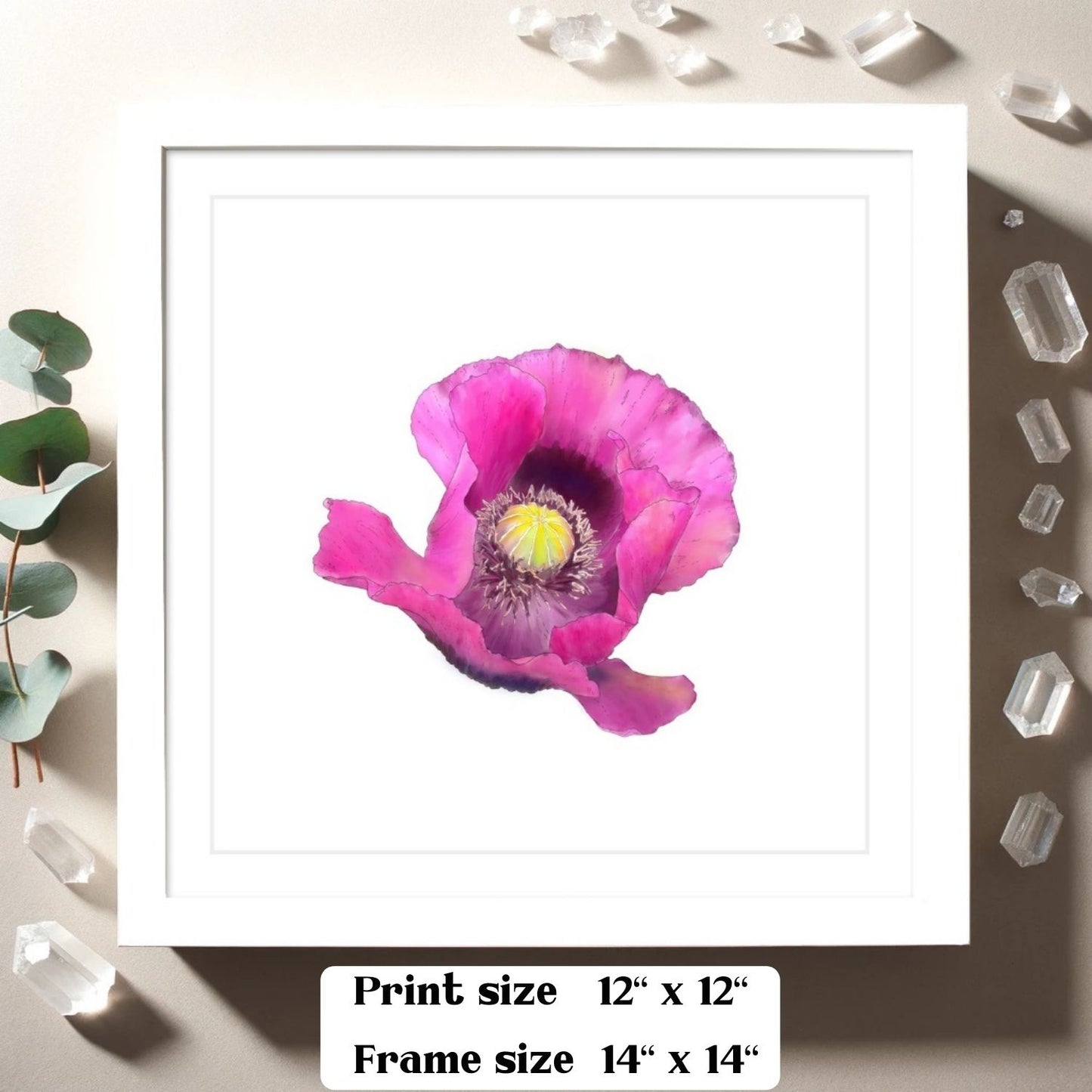 Fuchsia Poppy - Framed & Mounted Giclée Print