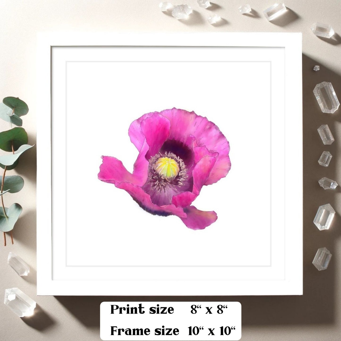 Fuchsia Poppy - Framed & Mounted Giclée Print