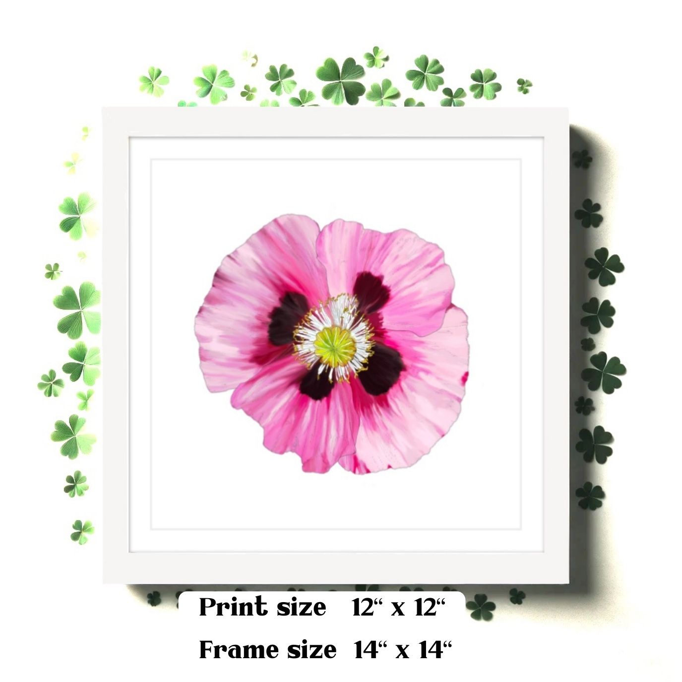 Pink Poppy - Framed & Mounted Giclée Print