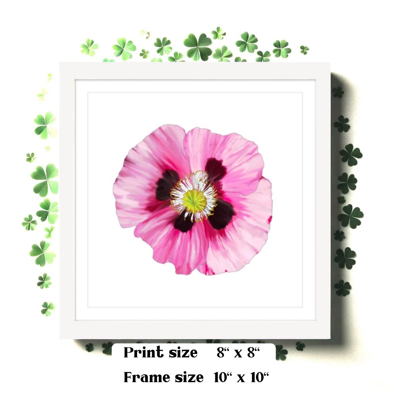 Pink Poppy - Framed & Mounted Giclée Print